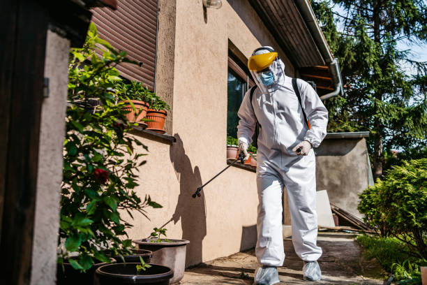 Best Termite Control Services  in Markham, IL