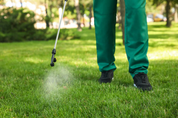 Best Spider Control Near Me  in Markham, IL