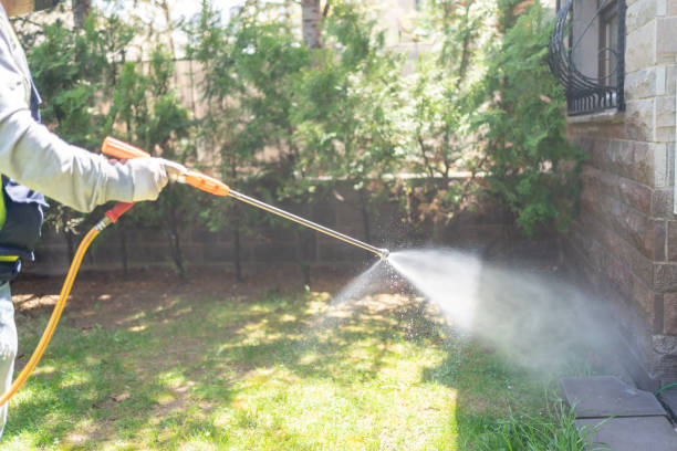 Best Pest Control Near Me in Markham, IL
