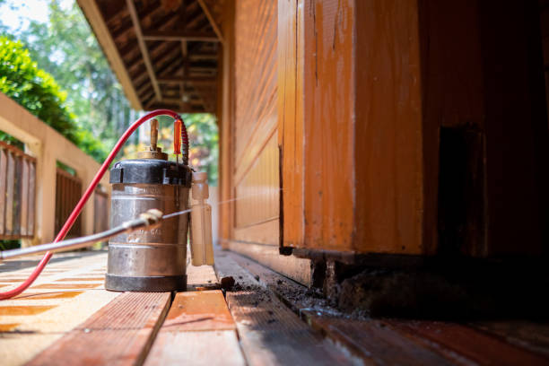 Best Ant Control Services  in Markham, IL