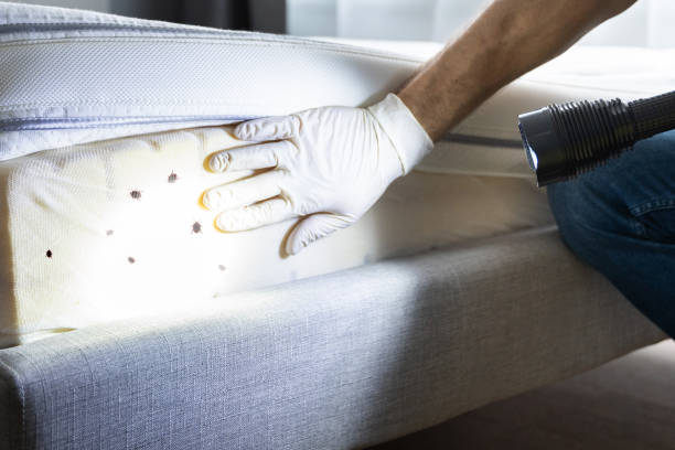 Best Residential Pest Control  in Markham, IL