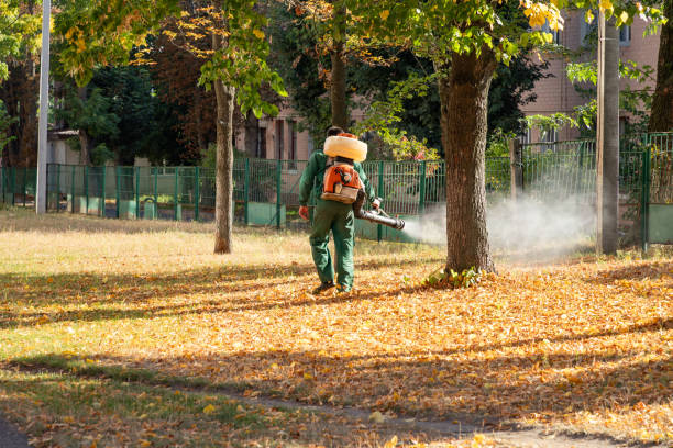 Best Pest Prevention Services  in Markham, IL