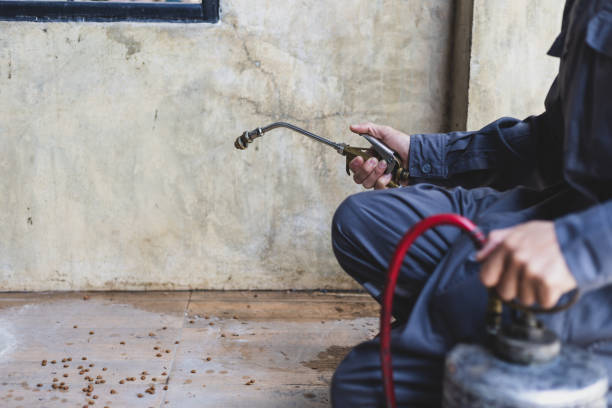Best Best Pest Control Companies  in Markham, IL